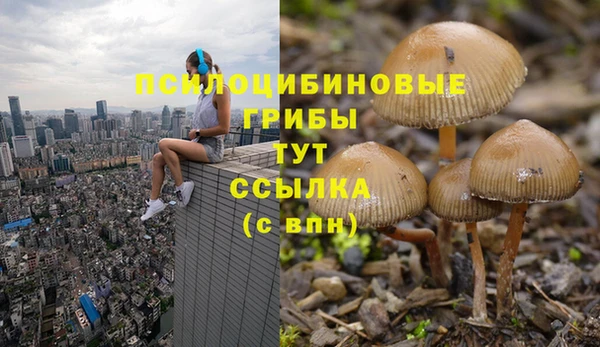 кокс Липки