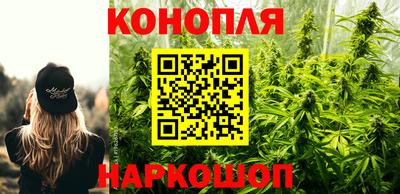 a pvp Жуковский