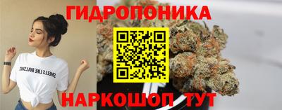 a pvp Жуковский