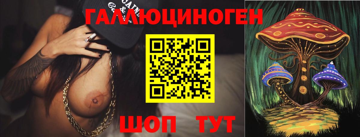 Псилоцибиновые грибы прущие грибы Усть-Джегута